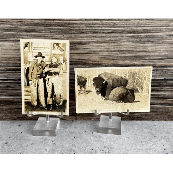 Cowboys and Buffalo RPPC Postcards