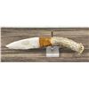 Image 2 : Bo Earls Handmade Horn Handle Knife