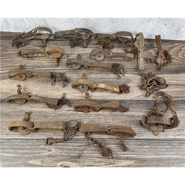 Montana Ranch Used Victor Animal Traps