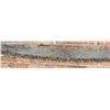 Image 7 : Antique Crosscut Logging Saw