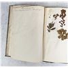 Image 109 : Thalamiflorae Botanist Herbarium Specimen Book
