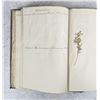 Image 114 : Thalamiflorae Botanist Herbarium Specimen Book
