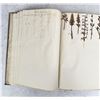 Image 116 : Thalamiflorae Botanist Herbarium Specimen Book