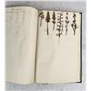 Image 117 : Thalamiflorae Botanist Herbarium Specimen Book
