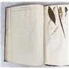 Image 118 : Thalamiflorae Botanist Herbarium Specimen Book