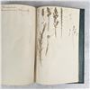 Image 127 : Thalamiflorae Botanist Herbarium Specimen Book
