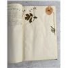 Image 16 : Thalamiflorae Botanist Herbarium Specimen Book