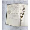 Image 17 : Thalamiflorae Botanist Herbarium Specimen Book