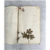 Image 38 : Thalamiflorae Botanist Herbarium Specimen Book