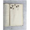 Image 40 : Thalamiflorae Botanist Herbarium Specimen Book