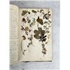 Image 46 : Thalamiflorae Botanist Herbarium Specimen Book