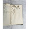 Image 48 : Thalamiflorae Botanist Herbarium Specimen Book