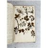Image 52 : Thalamiflorae Botanist Herbarium Specimen Book