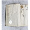 Image 65 : Thalamiflorae Botanist Herbarium Specimen Book