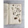 Image 6 : Thalamiflorae Botanist Herbarium Specimen Book