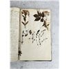 Image 70 : Thalamiflorae Botanist Herbarium Specimen Book