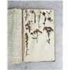 Image 72 : Thalamiflorae Botanist Herbarium Specimen Book