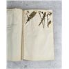 Image 76 : Thalamiflorae Botanist Herbarium Specimen Book