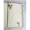 Image 90 : Thalamiflorae Botanist Herbarium Specimen Book