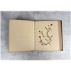 Image 10 : Victorian Botanist Herbarium Specimen Book