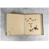 Image 16 : Victorian Botanist Herbarium Specimen Book