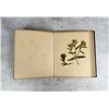 Image 17 : Victorian Botanist Herbarium Specimen Book