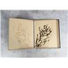 Image 18 : Victorian Botanist Herbarium Specimen Book