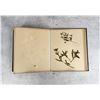 Image 21 : Victorian Botanist Herbarium Specimen Book