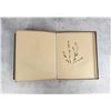 Image 25 : Victorian Botanist Herbarium Specimen Book