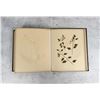 Image 27 : Victorian Botanist Herbarium Specimen Book