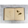 Image 28 : Victorian Botanist Herbarium Specimen Book