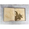 Image 29 : Victorian Botanist Herbarium Specimen Book