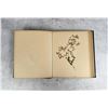 Image 5 : Victorian Botanist Herbarium Specimen Book