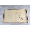 Image 11 : Victorian Botanist Herbarium Specimen Book