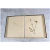 Image 15 : Victorian Botanist Herbarium Specimen Book