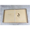 Image 16 : Victorian Botanist Herbarium Specimen Book