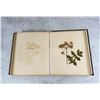 Image 19 : Victorian Botanist Herbarium Specimen Book