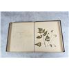 Image 21 : Victorian Botanist Herbarium Specimen Book