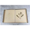 Image 23 : Victorian Botanist Herbarium Specimen Book