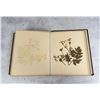 Image 24 : Victorian Botanist Herbarium Specimen Book