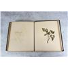 Image 25 : Victorian Botanist Herbarium Specimen Book
