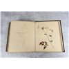 Image 26 : Victorian Botanist Herbarium Specimen Book