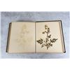 Image 27 : Victorian Botanist Herbarium Specimen Book