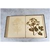 Image 29 : Victorian Botanist Herbarium Specimen Book