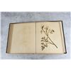 Image 31 : Victorian Botanist Herbarium Specimen Book
