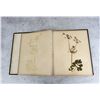 Image 5 : Victorian Botanist Herbarium Specimen Book