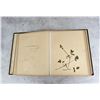 Image 6 : Victorian Botanist Herbarium Specimen Book
