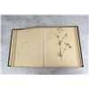 Image 8 : Victorian Botanist Herbarium Specimen Book