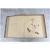 Image 9 : Victorian Botanist Herbarium Specimen Book