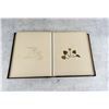 Image 10 : Victorian Botanist Herbarium Specimen Book